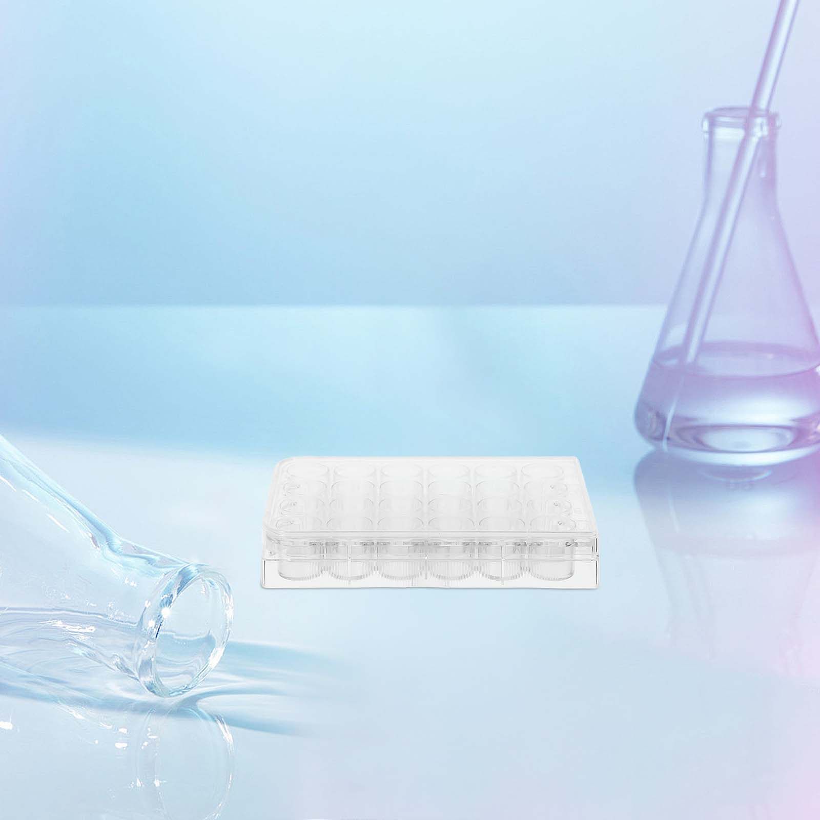 Lab Equipment - 2Pcs 24홀 세포 배양 플레이트 실험실