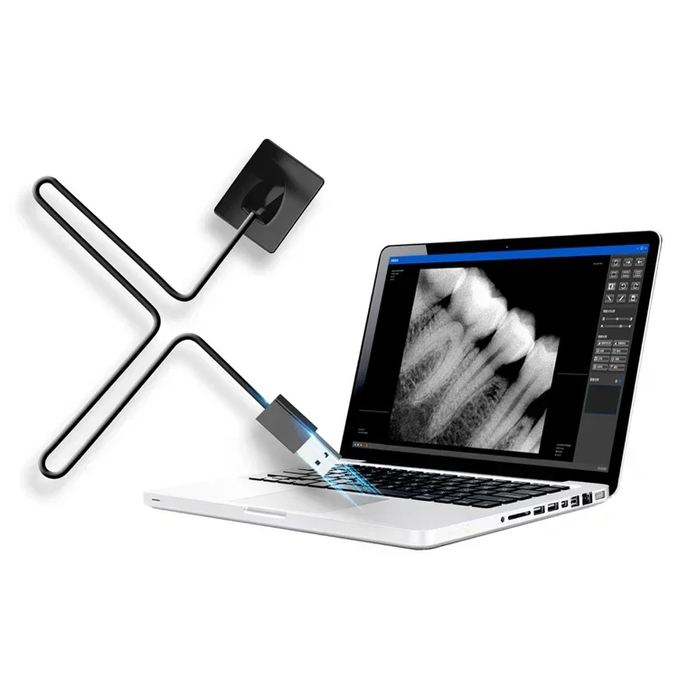 2026 프리미엄 의료용품 치과 장비 고품질 치아 엑스 - Medical Supplies 리뷰 및 가격