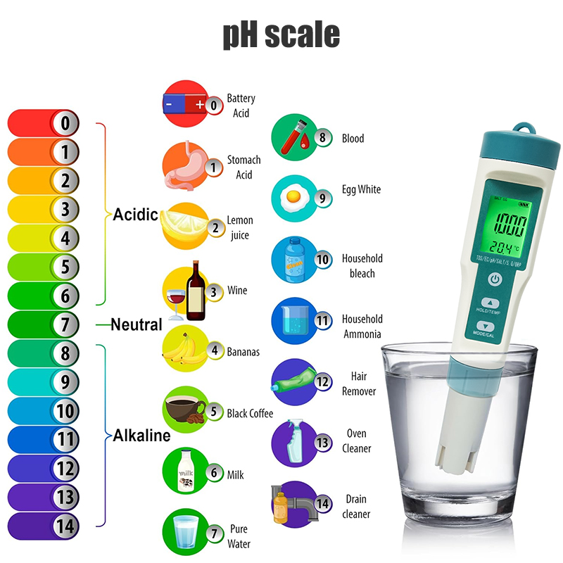 WESTTUNE 디지털 PH 측정기 7 in 1 PH/ - Ph Meter Digital Water Tester 리뷰 및 가격