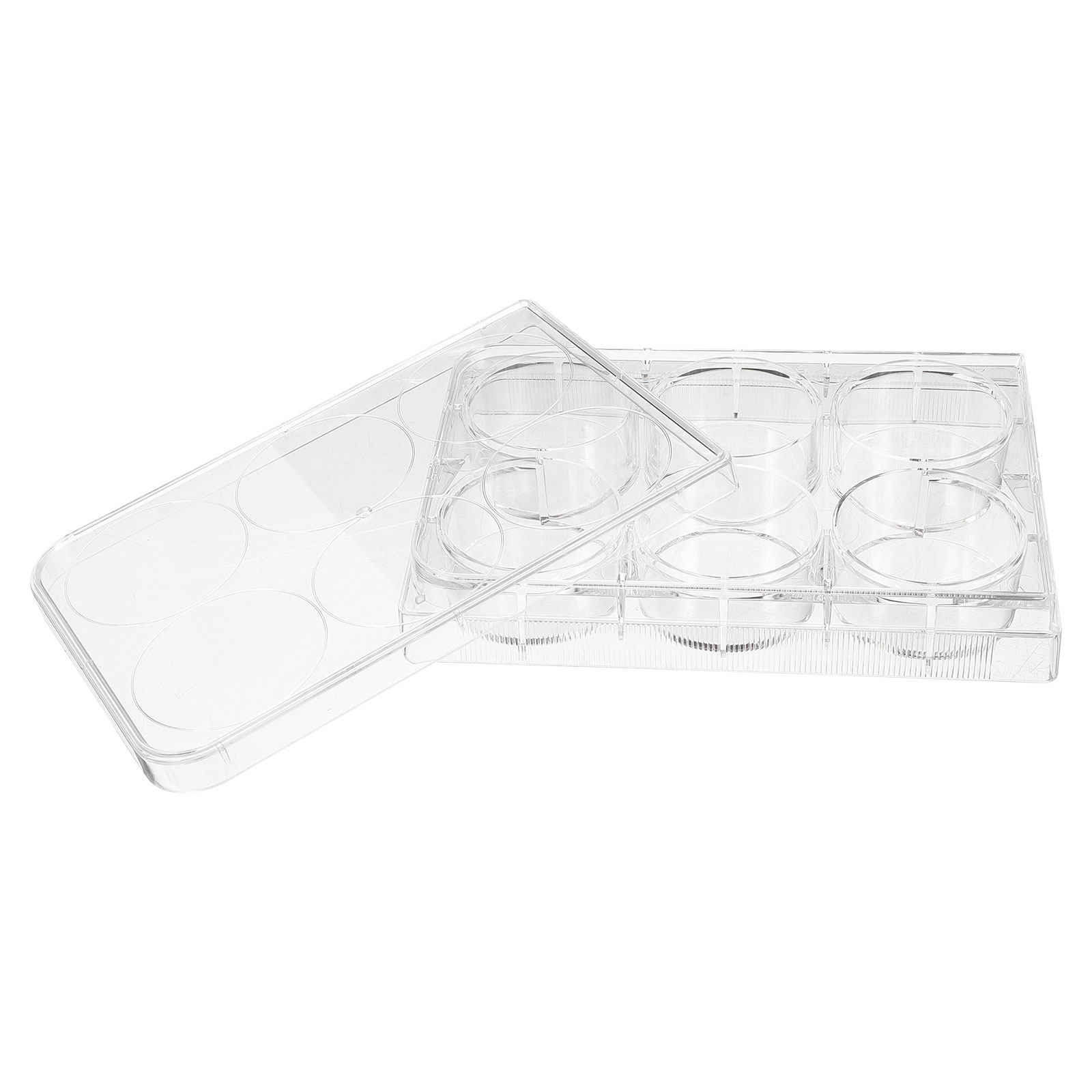 조직 배양 플레이트 실험실용 내구성 있는 실용적인 디자 - Lab Equipment 리뷰 및 가격