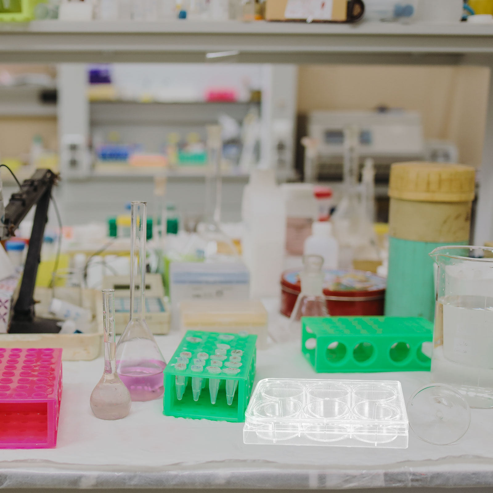 조직 배양 플레이트 실험실용 내구성 있는 실용적인 디자 - Lab Equipment 리뷰 및 가격